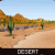 Jeu en ligne - 3D Rally Racing