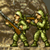 Jeu Metal Slug Brutal 2