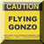 Jeu Flying Gonzo