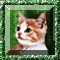 Jeu Kitty Tripeaks