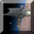 Jeu en ligne - Star Wars: Fierce Twilight