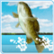 Jeu en ligne - Bass Fishing Pro
