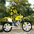 Jeu Dirtbike 2