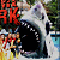 Jeu Requin de Miami