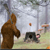 Jeu en ligne - Sasquatch Baseball