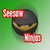 Seesaw