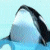 Jeu en ligne - Make a Splash