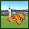 Jeu Test Catch Cricket